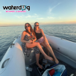 Waterdog Supplt Postings